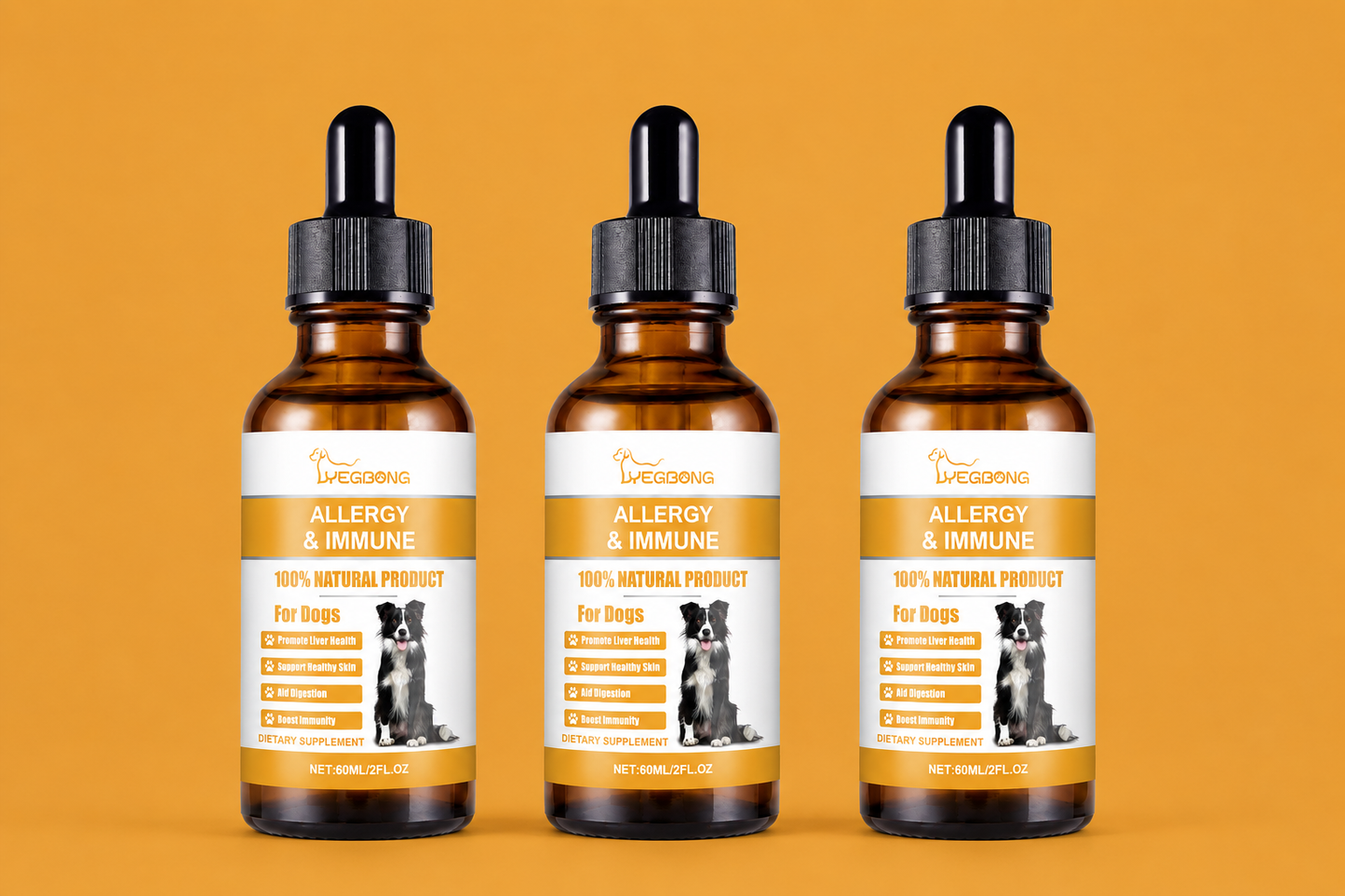 The Science-Backed Protocol for Senior Dog Dementia